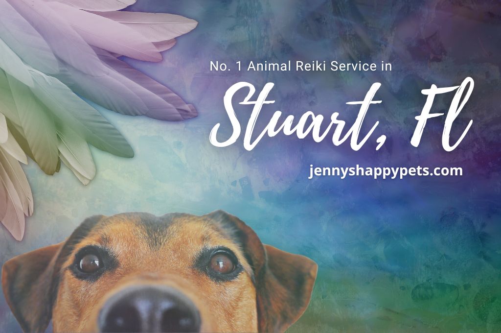 Animal Reiki - Dog Reiki USA Florida - Jennyshappypets.com in Stuart City